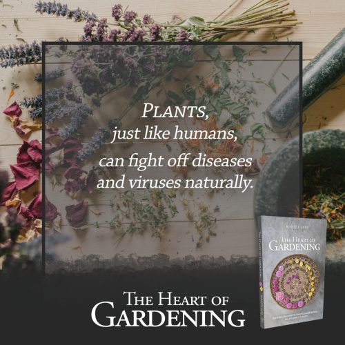 797977482-qc2-band-copy