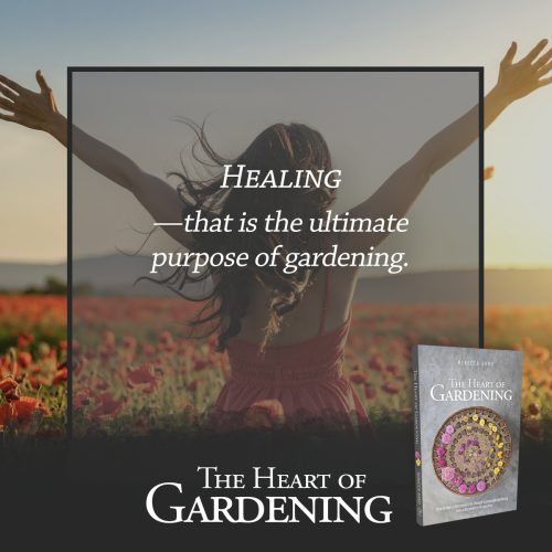 797977483-qc3-band-copy