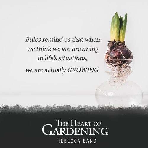 797977487-qc4-band-copy