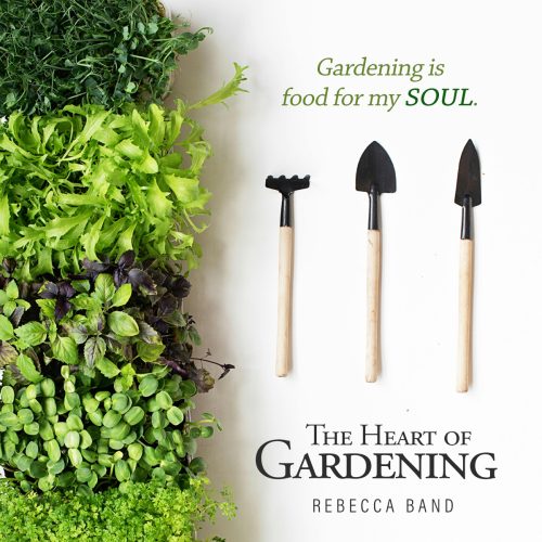 797977488-qc5-band-copy